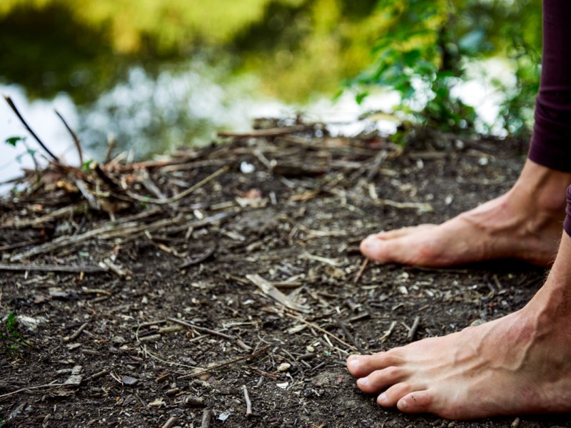 Pause, Reset. How the Pandemic healed my nervous&nbsp;system